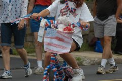 sbpafloat2007-005